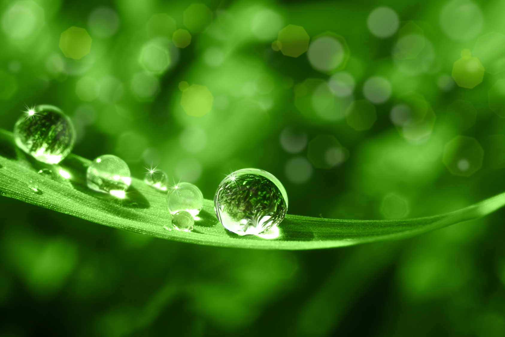 fotolia.com/Stefan Körber